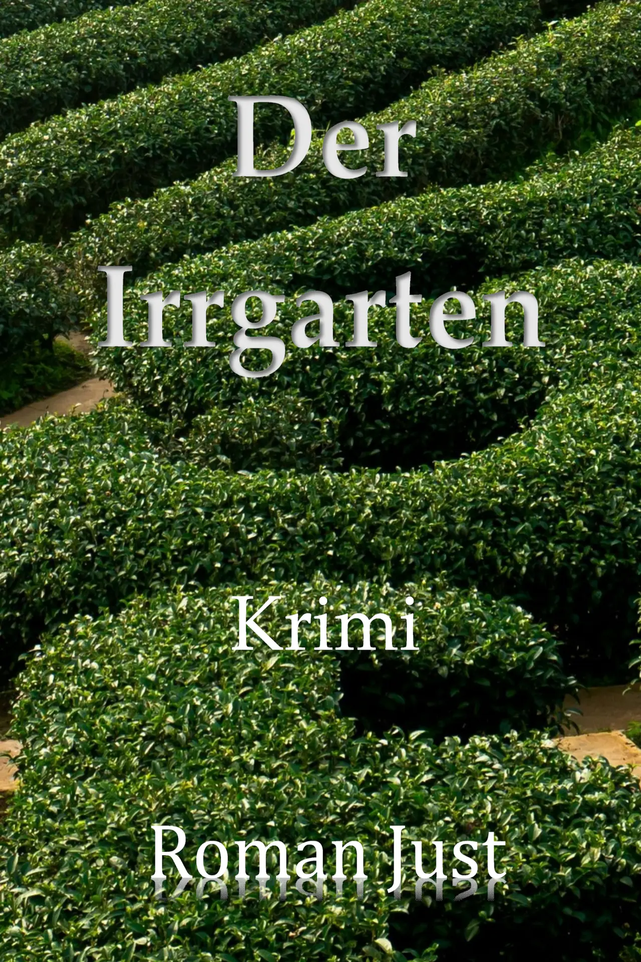 Cover Der Irrgarten