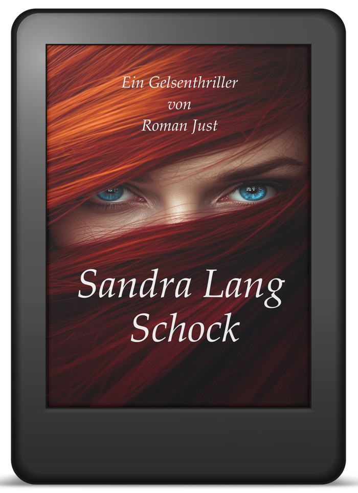 Buchcover Band 4: Sandra Lang – Schock – Gelsenthriller von Roman Just als E-Book